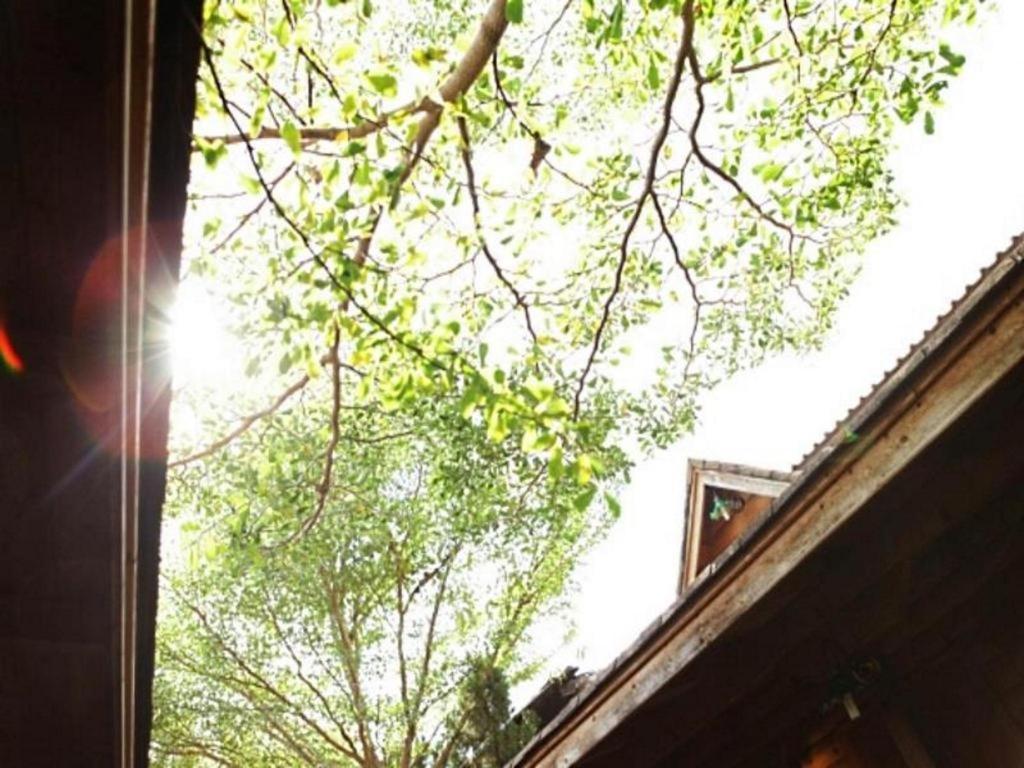 Loghome Boutique Chiang Mai Extérieur photo